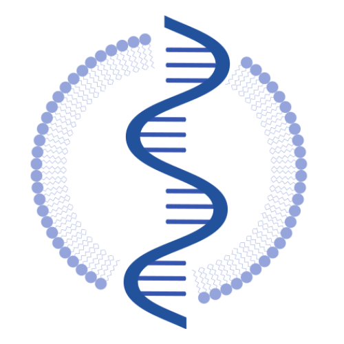 mRNA favicon
